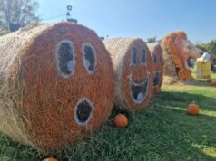 A villa Montalvo gli arcieri prove di tiro con l’arco per bambini e adulti