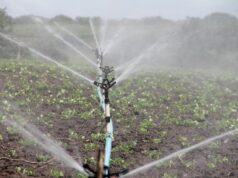 “Idee in campo”: prosegue a Marradi (Fi) il confronto sull’agricoltura toscana