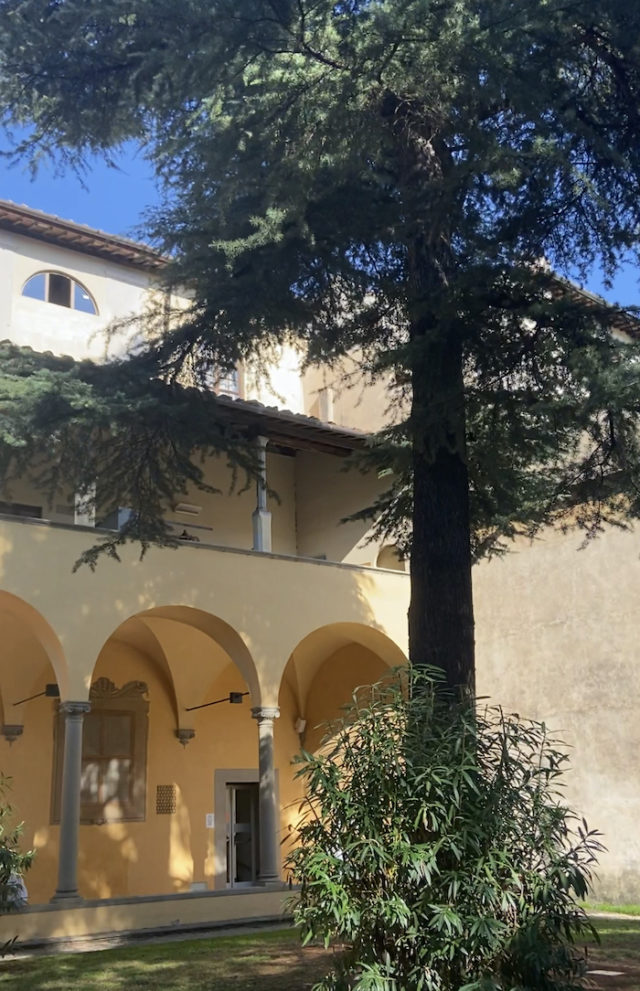 oblate mia